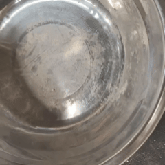 clumping clay cat litter